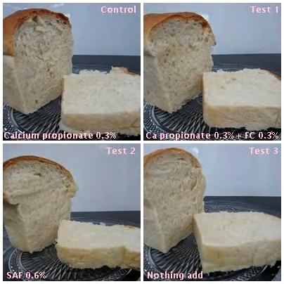 Application of KEEP LONG Bread Test item Appearance Food hygiene point Heat resistance spore, Mold (2 nd contamination) Selection of KEEP LONG Preservative + FC, SAF