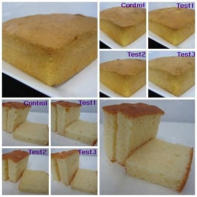 Application of KEEP LONG Butter cake Test item Appearance Food hygiene point Heat resistance spore, Mold (2 nd contamination) Selection of KEEP LONG Preservative + FC,