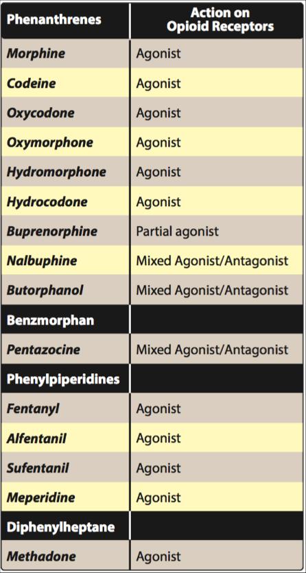 INTRINSIC ACTIVITY Strong Alfentanil Fentanyl Heroin Meperidine Methadone Morphine Oxycodone Remifentanil Sufentanil Moderate/low Codeine Propoxyphene Tramadol Mixed agonist/antagonist & partial