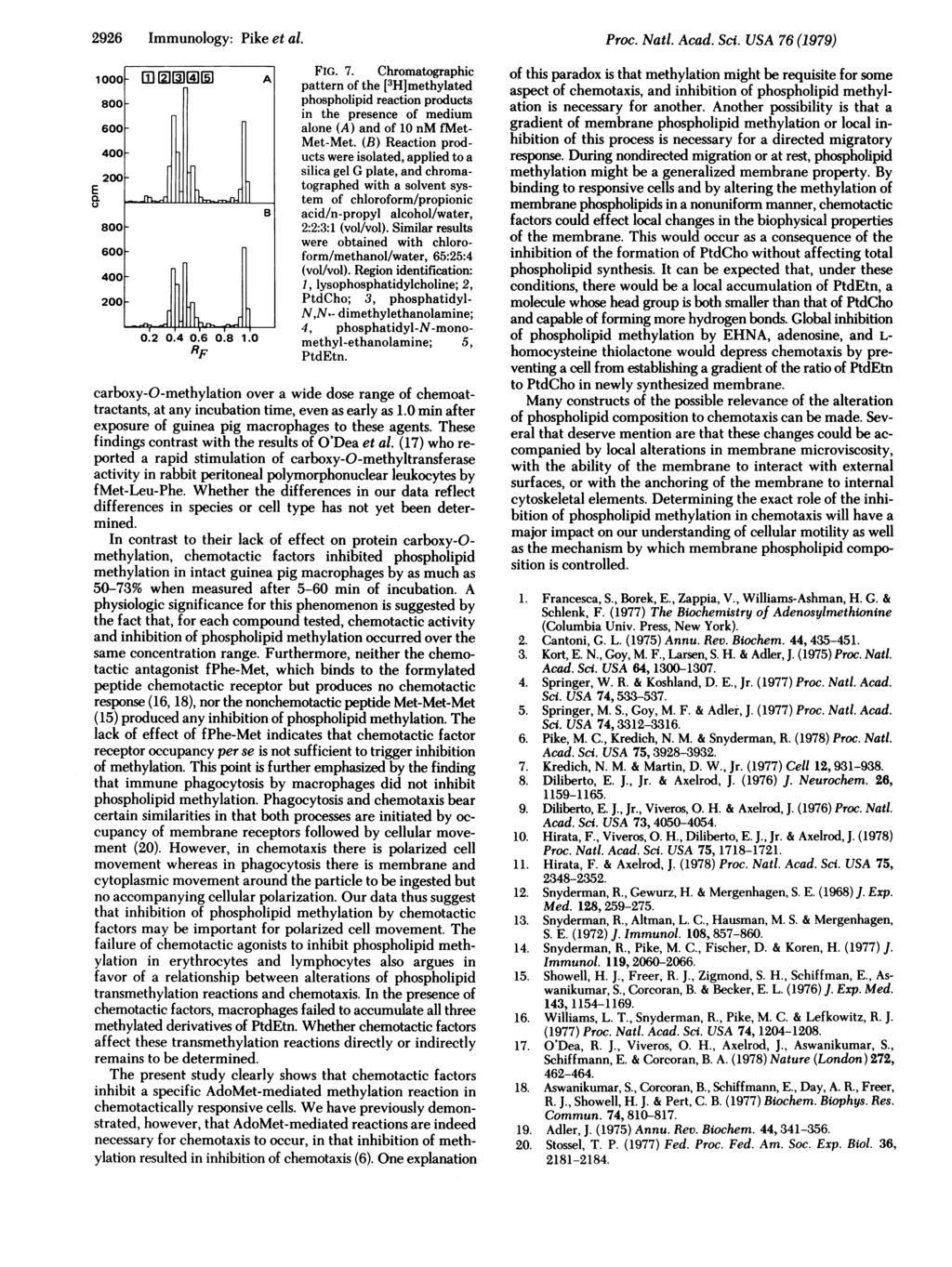 2926 Immunology: Pike et al. 1 m IIl] A FIG. 7. hromatographi pattern of the [3H]methylated 8 phospholipid reation produts in the presene of medium 6 alone (A) and of 1 nm fmet MetMet.