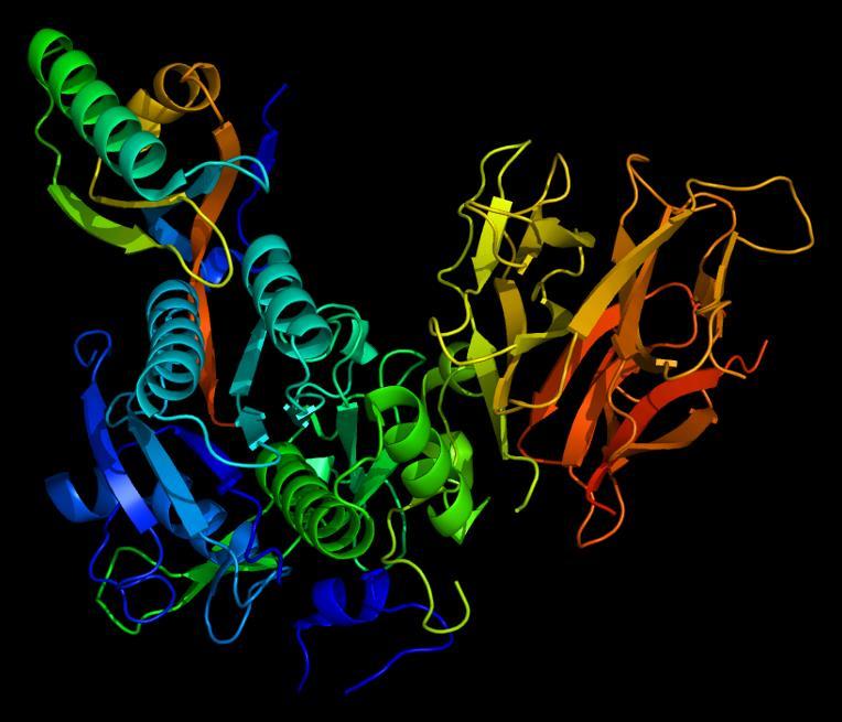 PCSK9 Proprotein convertase subtilisin/kexin type 9 (PCSK9) the 9th member of the proprotein convertase family of