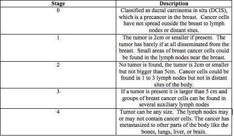 2 Table 1 Summary of the Stages of Breast Cancer This table includes an overview of the physiological characteristics of the five stages of cancer (Stage 0-4).