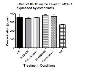 B 26 Figure 8 Primary dose expansion of the effect of conditioned media from MDA-MB-231 metastatic breast cancer cells treated with Kisspeptin 10 on MC3T3-E1 osteoblasts Two types of breast cancer