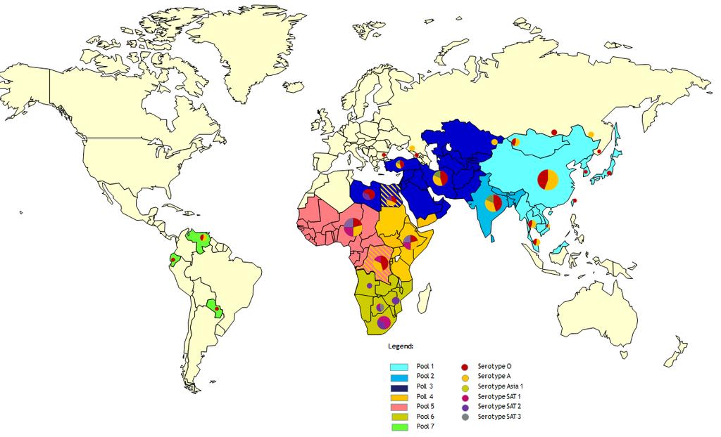 I. GENERAL OVERVIEW Foot-and-mouth disease (FMD) virus pools: world distribution by serotypes in 2011-2013 (Map 1) Pools represent independently circulating and evolving FMDV genotypes; within the
