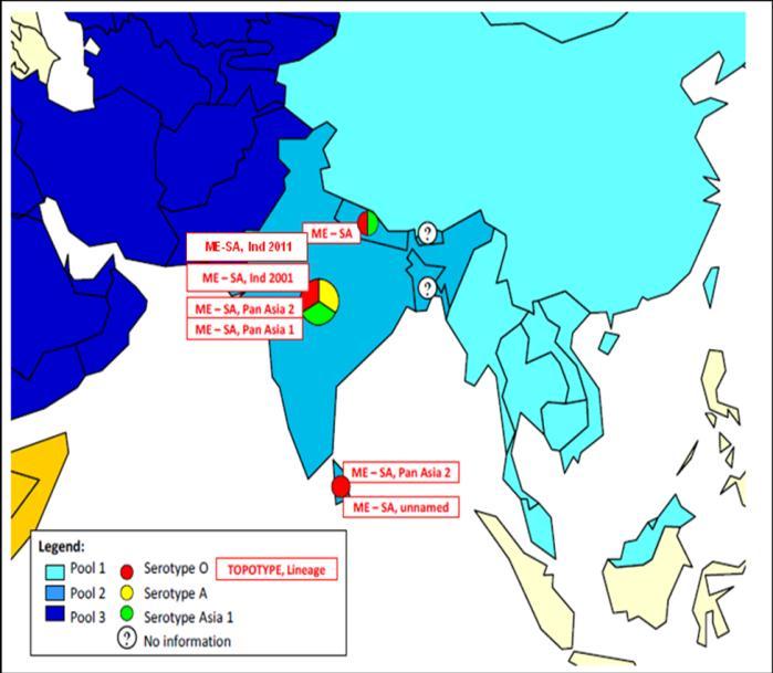 B. POOL 2 South Asia Global Foot-and-Mouth Disease Situation India: 2,7 In the month of October, the FAO reference laboratory PD-FMD (Mukteswar), analyzed 167 samples for virus serotype confirmation.