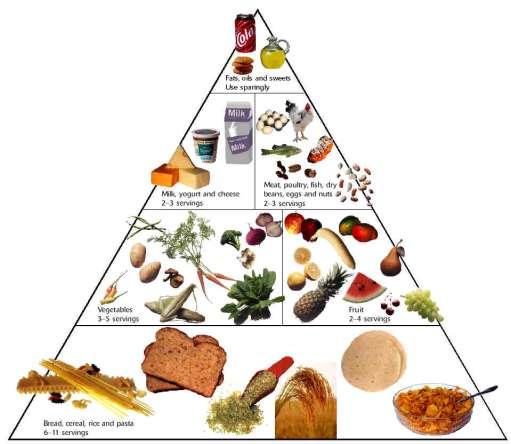 Food groups eating some of each of these helps you get all your essential nutrients Breads and