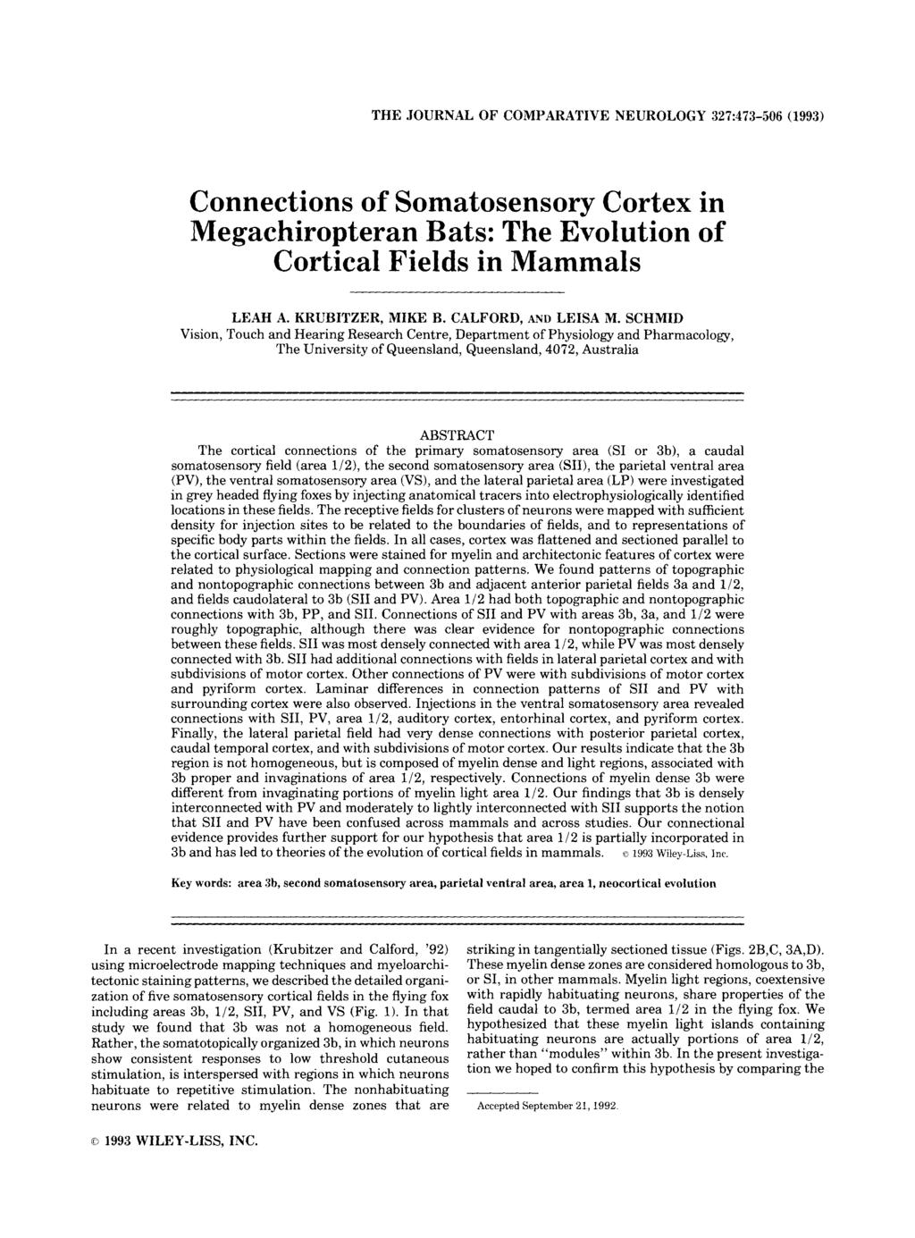 THE JOURNAL OF COMPARATIVE NEUROLOGY 327~473-506 (1993) Connections of Somatosensory Cortex in Megachiropteran Bats: The Evolution of Cortical Fields in Mammals LEAH A. KRUBITZER, MIKE B.