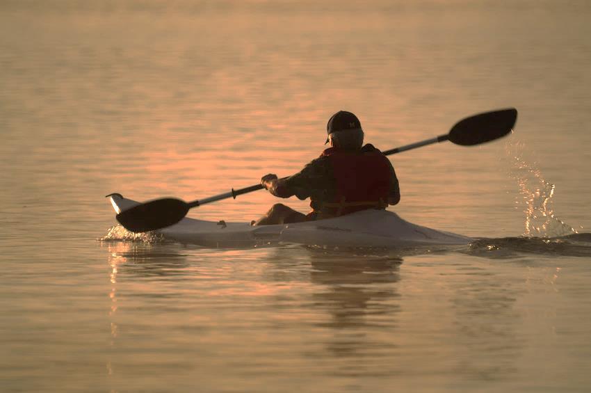 In the past 12 months, did you go Q8: Lake/sea kayaking?
