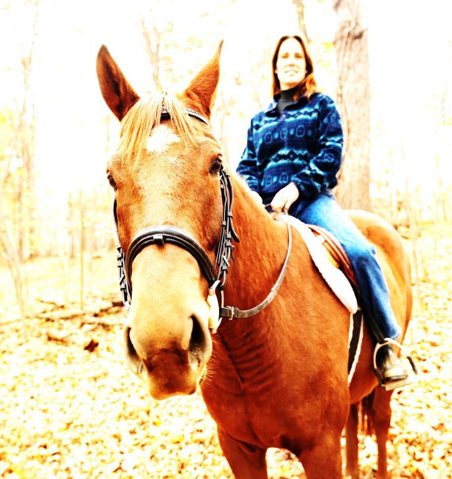 In the past 12 months, did you go Q10: Horseback riding?