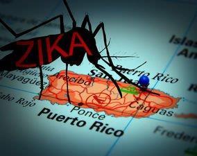 From A to cobas Zika in 10 weeks Response to an emergent public health need Zika virus may be spread by blood transfusion.