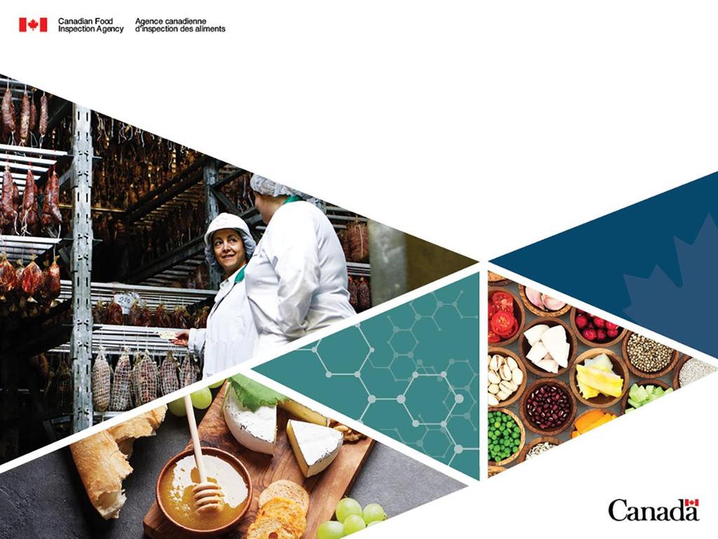 Trading Food with Canada: Regulatory Requirements for Food Canada s Food Regulatory Regime and Import Framework Daniel Burgoyne National manager, Food