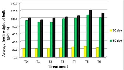 Fig 4: Effect of different doses of Azotobacter