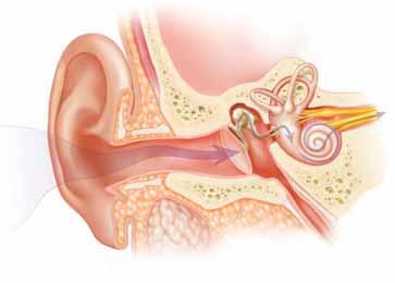 How the Ear Works The middle ear is an air-filled chamber. The eardrum (tympanic membrane) separates the outer ear from the middle ear. The eardrum and middle ear move sound on to the inner ear.