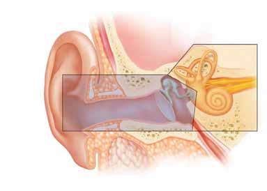 Middle Ear Problems and Hearing Loss Several conditions can cause hearing changes. These include injury, infection, certain growths, and bone disease.