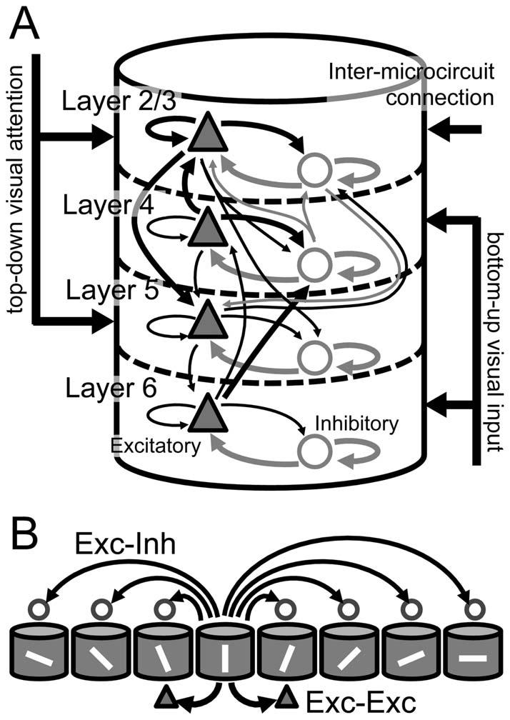 Figure 1. Model architecture of layered visual cortical microcircuits. A, Intra- and inter-laminar synaptic connections and external inputs of a multi-layered microcircuit.