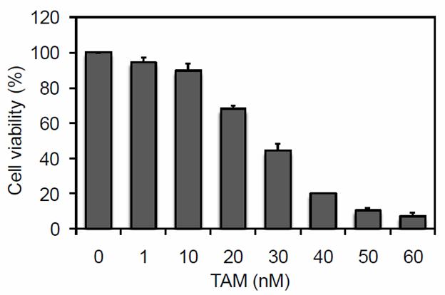 The results demonstrated that the extract in the range concentration of 10-250 μg/ml showed a tendency to T47D cell proliferation, whereas increasing concentrations of extract more than 250 ug/ml