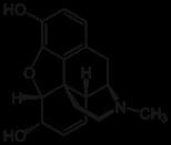 Phencyclidine 25 ng/ml Amphetamines 3 500 ng/ml Amphetamine 250 ng/ml AMP/MAMP 4 Methamphetamine 5 250 ng/ml MDMA 6 500 ng/ml MDMA 250 ng/ml MDA 7 250 ng/ml MDEA 8 250 ng/ml 1.
