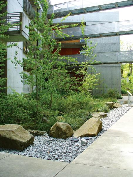 Green stormwater infrastructure can be designed to achieve co-benefits of water management