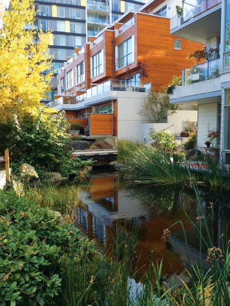 29 03/ Both public and private landscapes can be designed to offer a set of spaces and experiences that can soothe the overtaxed mind, such as this stormwater management project in Victoria, British