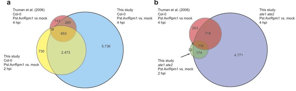 Supplementary Figure 6: Comparison of transcriptomics datasets obtained following inoculation with Pst AvrRpm1.