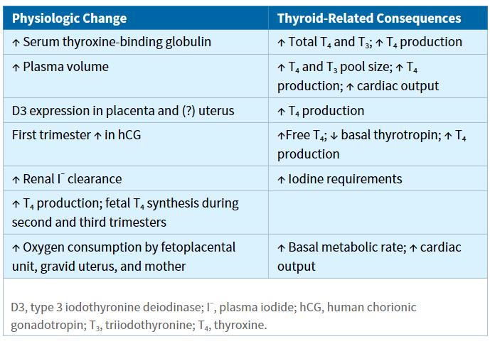 Functions of thyroid