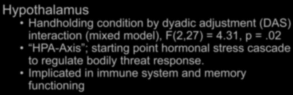 Hypothalamus Handholding condition by dyadic adjustment (DAS) interaction (mixed model), F(2,27) = 4.31, p =.02 HPA-Axis ; starting point hormonal stress cascade to regulate bodily threat response.