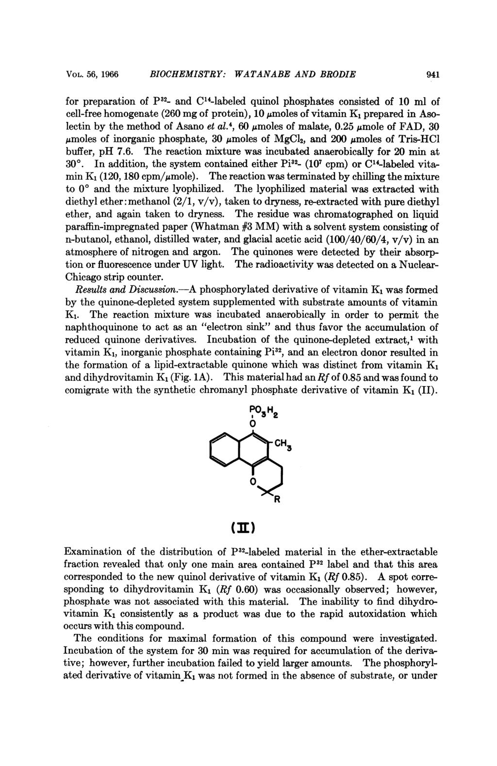 VOL. 56, 1966 BIOCHEMISTRY: WATANABE AND BRODIE 941 for preparation of p32_ and C14-labeled quinol phosphates consisted of 10 ml of cell-free homogenate (260 mg of protein), 10 Mumoles of vitamin K1