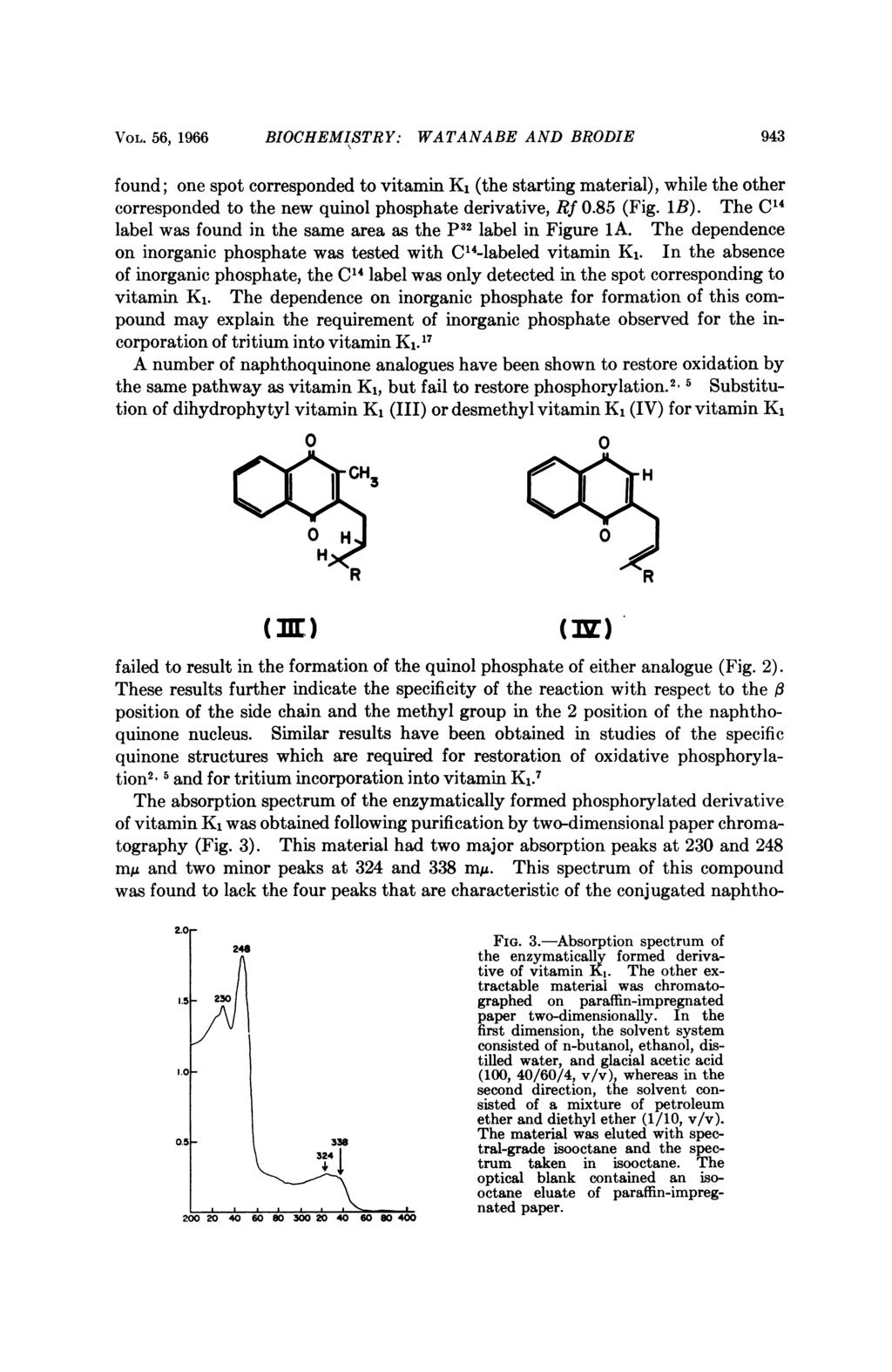 VOL. 56, 1966 BIOCHEMISTRY: WATANABE AND BRODIE 943 found; one spot corresponded to vitamin K, (the starting material), while the other corresponded to the new quinol phosphate derivative, Rf 0.