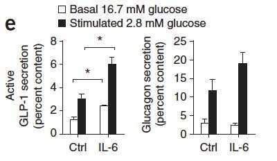 IL-6 stimulates GLP-1 secretion