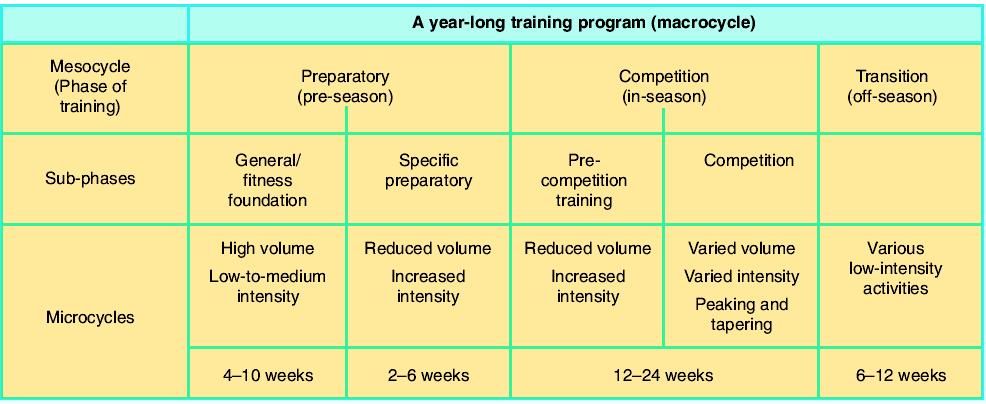 Cycles in the Training Year A microcycle refers to a relatively small number of training sessions that form a repeated program.