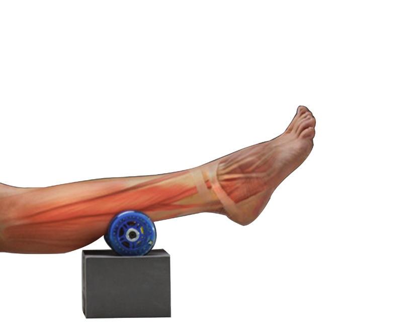 BASICS FOR USE OF TRIGGER POINT TOOLS MYOFASCIAL COMPRESSION TECHNIQUES (MCT) FASCIA MUSCLE BLOOD FLOW SKIN COMPRESSION OXYGEN BONE Remember: It s not how hard you push;