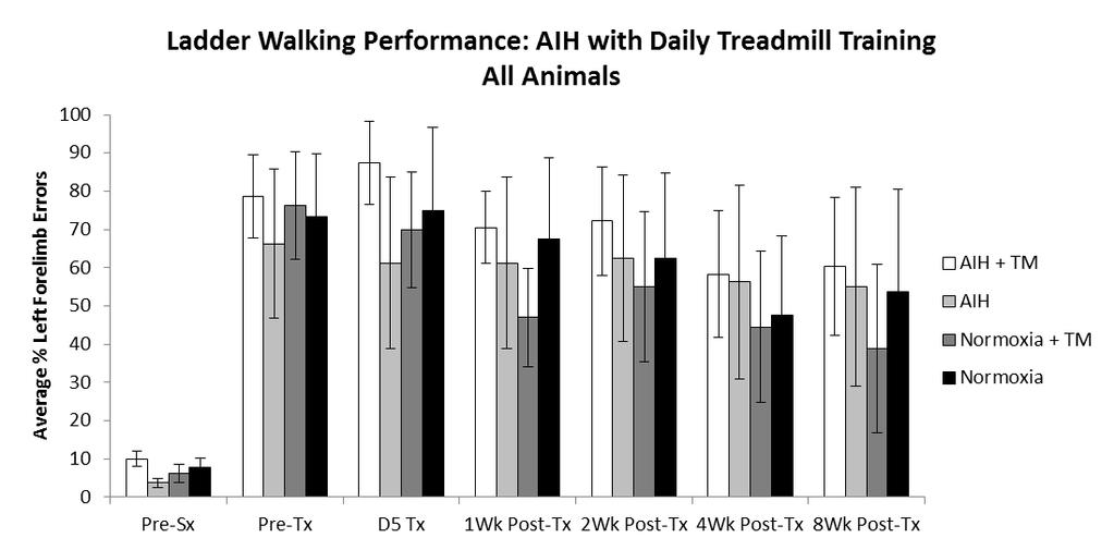 12 A. B. Figure 3: Ladder walking performance in SCI rats exposed to AIH plus treadmill training. A. All rats which received AIH plus treadmill motor training during the week of treatment, regardless