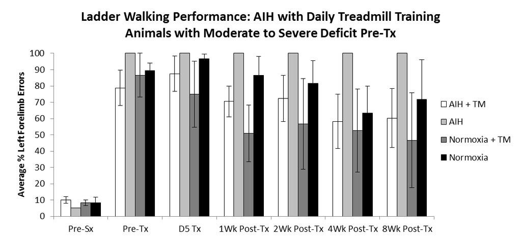 Rats which had 50% errors on the ladder walking task (moderate to severe deficit) prior to treatment and received AIH plus treadmill motor training during the week of treatment showed no difference
