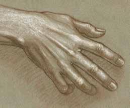 JOINTS (KNUCKLES) LATERAL MUSCULAR RIDGE OF FOOT Sanguine and brown pastel pencils, charcoal, Graphite pencil,