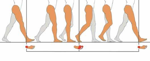 The small footprints show where on the sole of the foot the weight of the body is concentrated during the heel strike and toe-off.