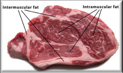 Fat in Beef Membrane Fat (Phospholipid) Intermuscular Fat: IMF (Between