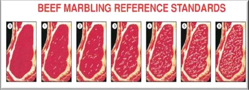 Marbling fat Important Meat Quality trait Most interest FA Composition & Human Health Juiciness Aroma Tenderness Fat Depot Flavour Score of Beef Increased with