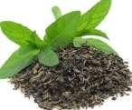 COMPOSITION OF VESLIM TEA INGREDIENTS Green Tea Garcinia Cambogia Green Coffee