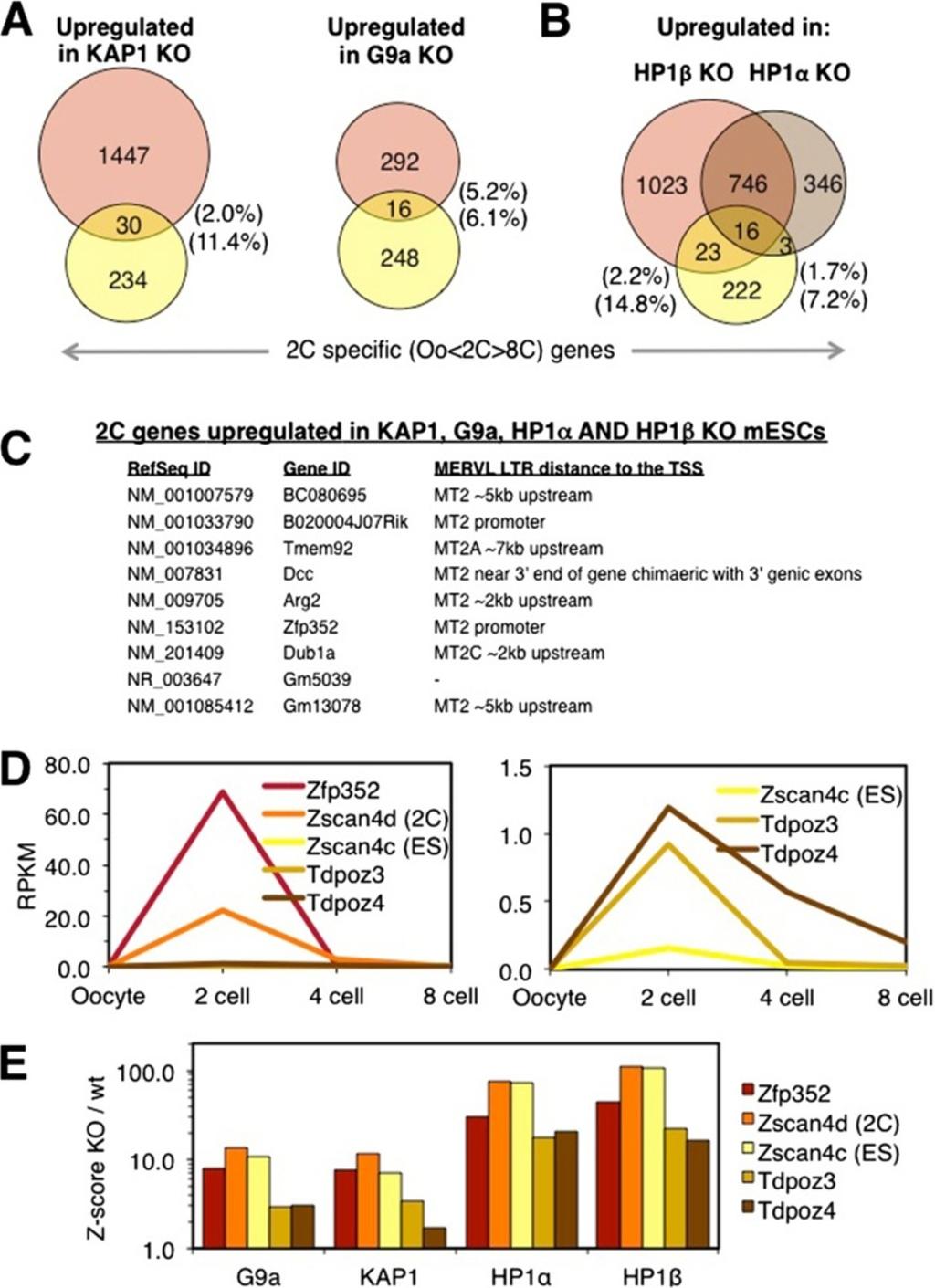 Maksakova et al. Epigenetics & Chromatin 2013, 6:15 Page 10 of 16 Figure 6 Two-cell embryo-specific genes are induced in HP1α, HP1β, KAP1 and G9a KO mescs.