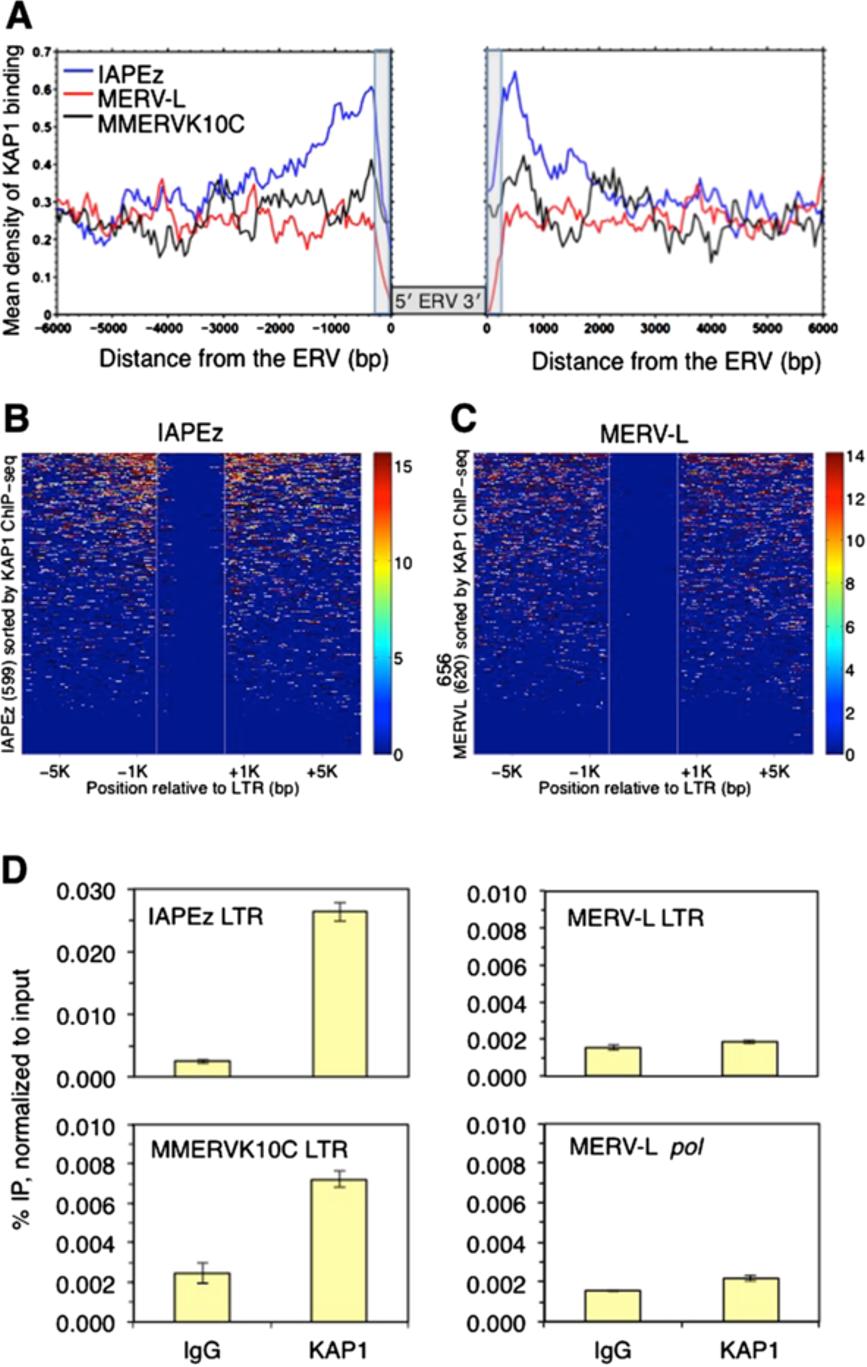 Maksakova et al. Epigenetics & Chromatin 2013, 6:15 Page 4 of 16 and MTA are enriched for KAP1 at levels similar to MERVL, only MERVL is upregulated in KAP1 KO mescs.
