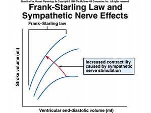 Frank- Starling Law Frank-Starling law of the heart: Increased venous return= Increased LVEDP=increased Preload= Increased SV Increased Afterload= Decreased SV Decreased Afterload= Increased SV