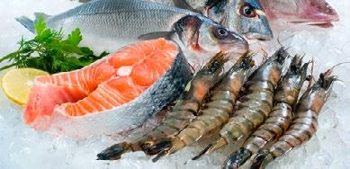 FISH & SEAFOOD Fish and seafood are a great source of protein and trace minerals that help to improve cognitive function and balance hormones.