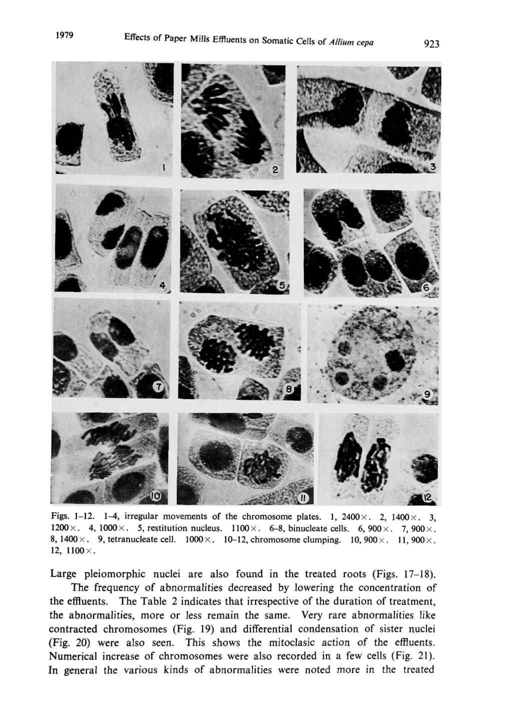 1979 Effects of Paper Mills Effluents on S omatic Cells of Allium cepa 923 Figs. 1-12. 1-4, irregular movements of the chromosome plates. 1, 2400 ~. 2, 1400 ~. 3, 1200 ~. 4, 1000 ~.