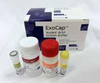 ExoCap Nucleic Acid Elution Buffer Enable to isolate nuclec acids from extracellular vesicles in one tube or in two tubes separately High quality, high yield Eco-friendly ExoCap Nucleic Acid Elution