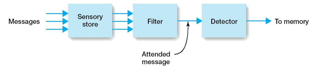 Traditional models of selective attention PFilter theory (Broadbent) PAttenuation theory