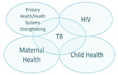 Effective Integration of services TB-HIV activities Increase screening of TB/HIV during field activities Services to