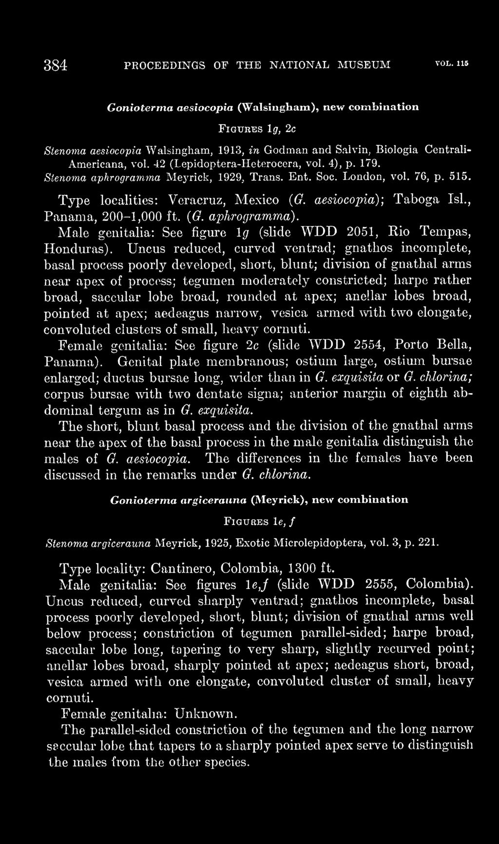 4), p. 179. Sienoma aphrogramma Mej-rick, 1929, Trans. Ent. Soc. London, vol. 76, p. 515. Type localities: Veracruz, Mexico {G. aesiocopia)', Taboga Isl., Panama, 200-1,000 ft. (6^. aphrogramma).