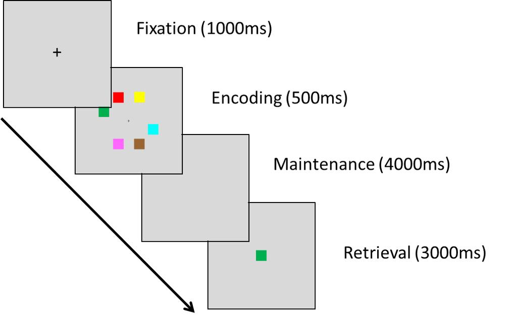 Figure 5.1. An example of one quantitative task trial containing the square stimuli. 5.5.3.