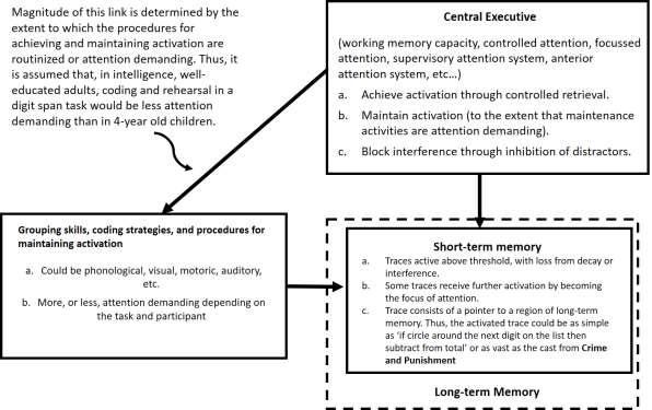 Cowan (2005) later suggested that allocation of attention aids working memory capacity, for example if an individual had good control of their attentional resources then working memory would be more