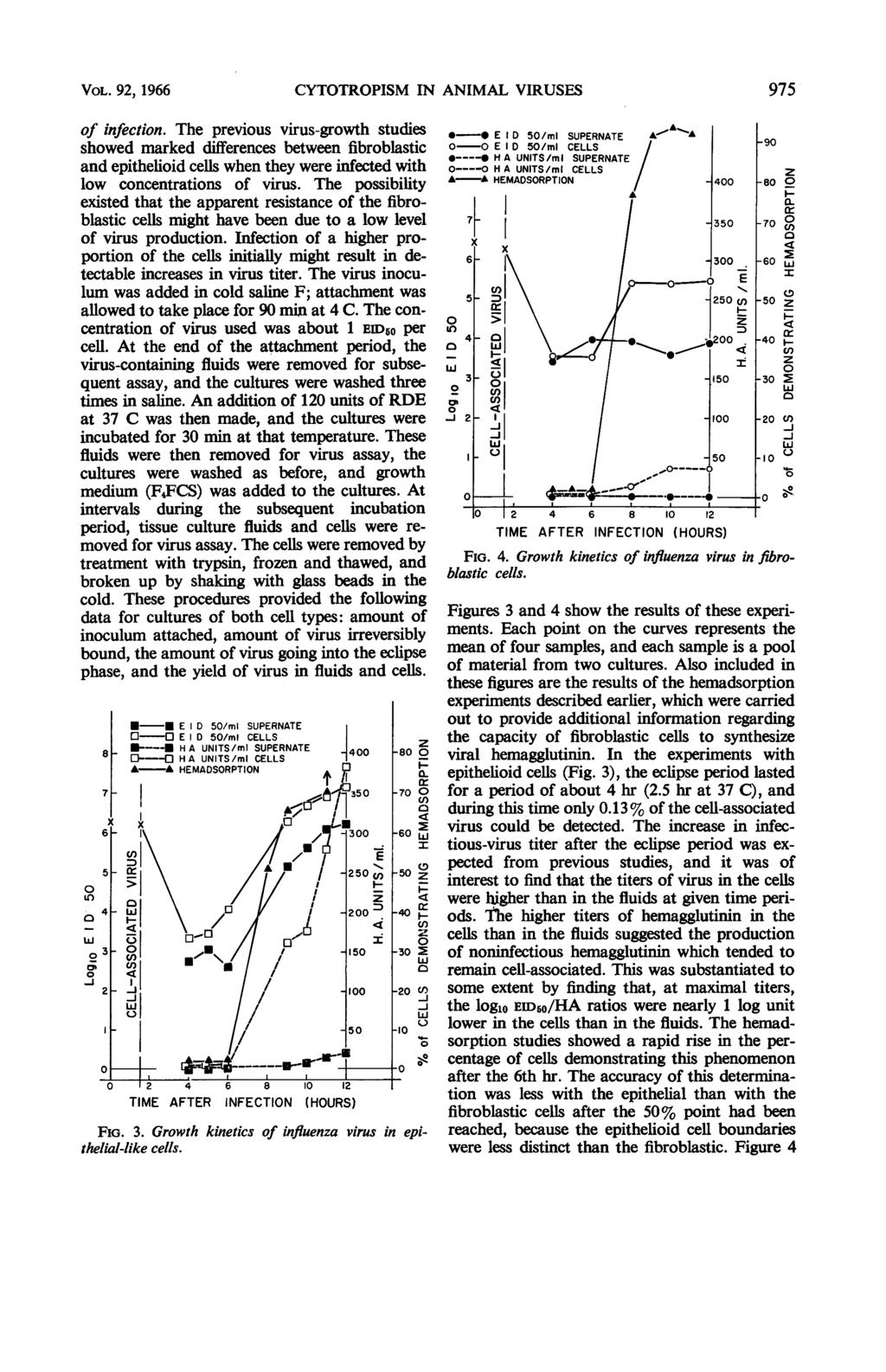 VOL. 92, 1966 of infection. The previous virus-growth studies showed marked differences between fibroblastic and epithehoid cells when they were infected with low concentrations of virus.